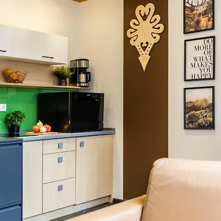 Udanypobyt Przy Dolinach C I D Apartment *