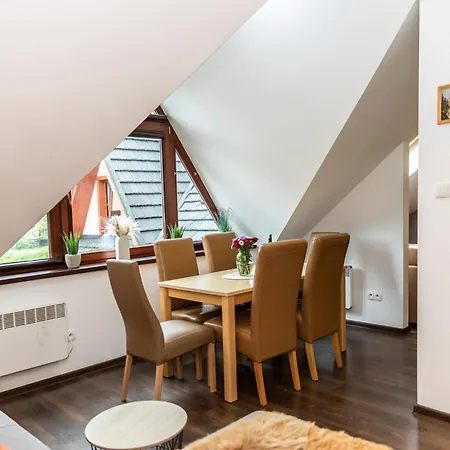 Udanypobyt Przy Dolinach C I D Апартаменты Косцелиско