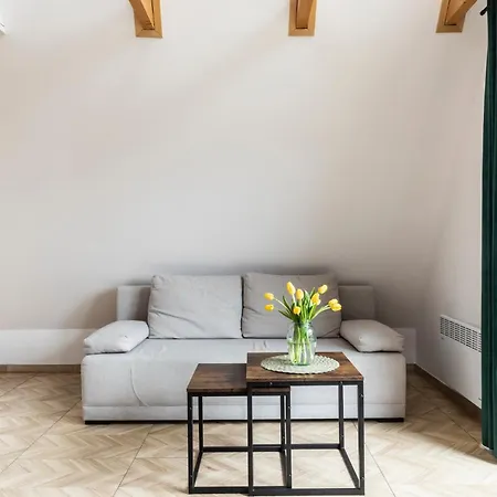 Apartment Udanypobyt Przy Dolinach C I D