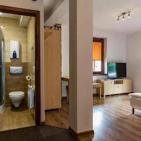 Udanypobyt Przy Dolinach C I D Апартаменты Косцелиско