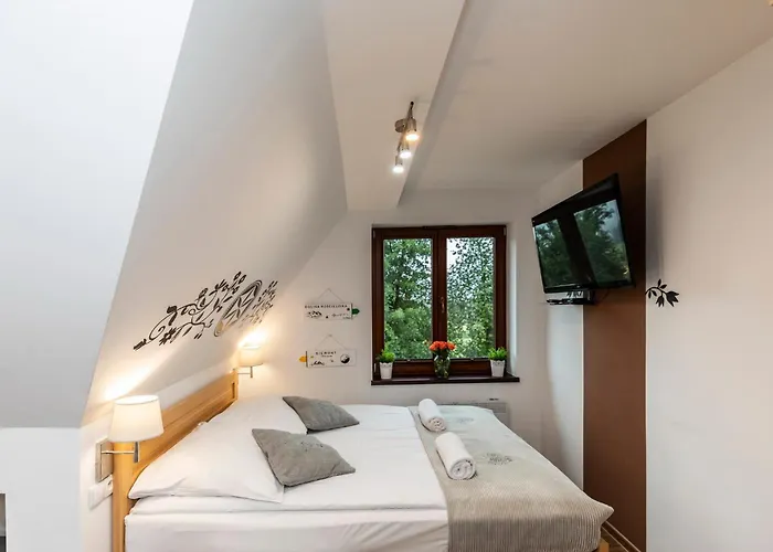 Apartman Udanypobyt Przy Dolinach C I D Kościelisko